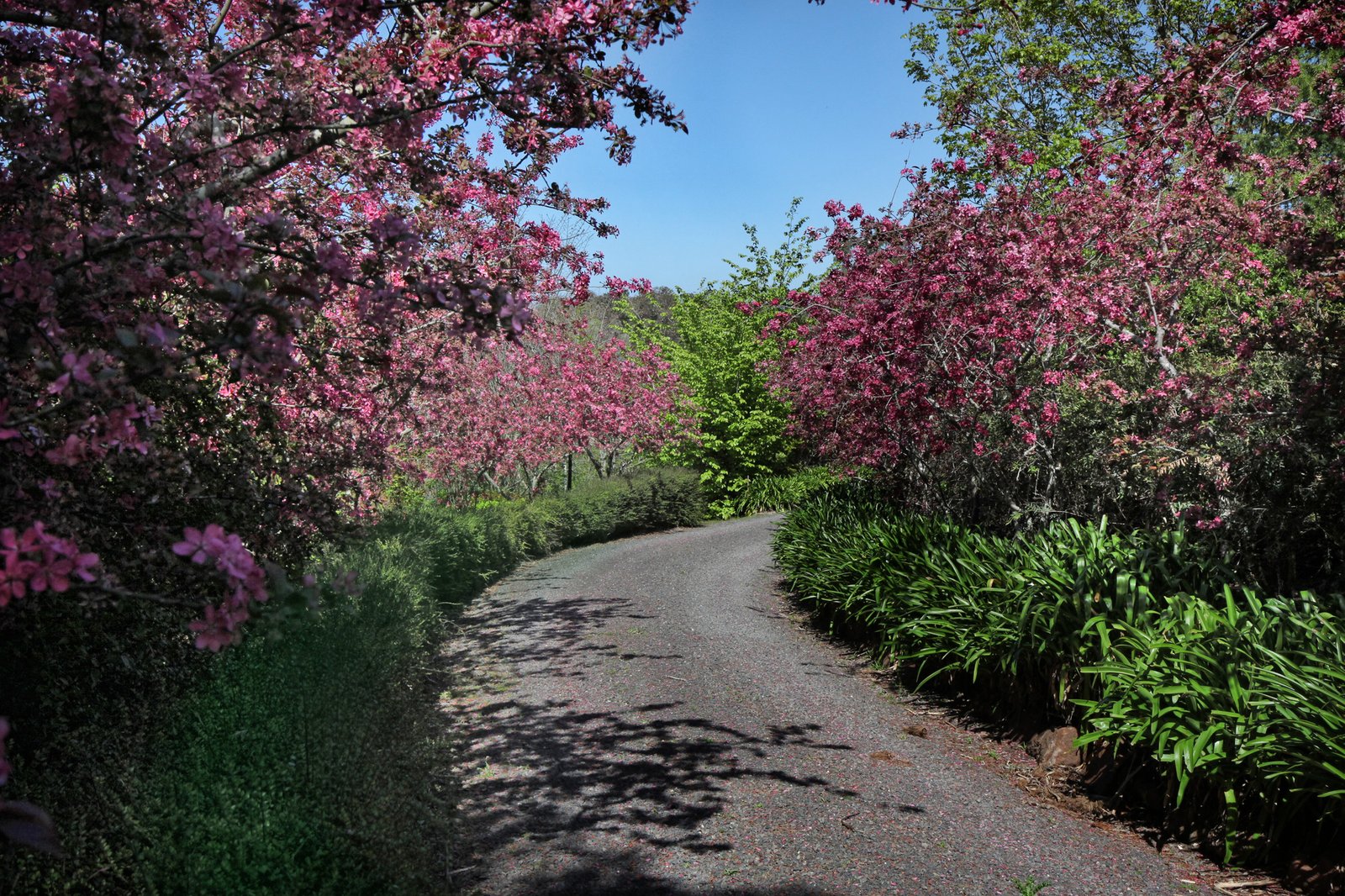 Real Estate and Property in 249 Couangalt Road, Gisborne South, VIC