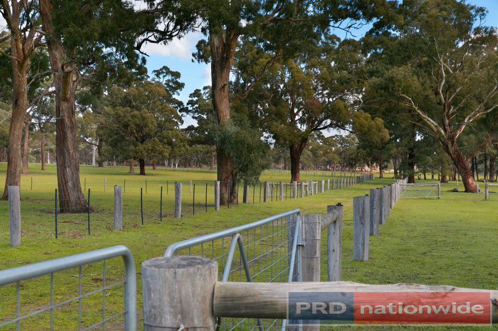 249 Stockyard Hill Road & Farleys Lane BEAUFORT 15