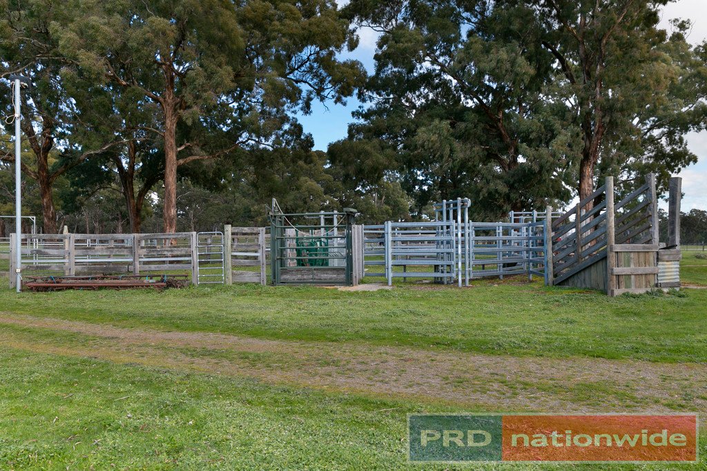 249 Stockyard Hill Road & Farleys Lane BEAUFORT 16