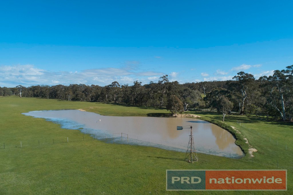 249 Stockyard Hill Road & Farleys Lane BEAUFORT 19