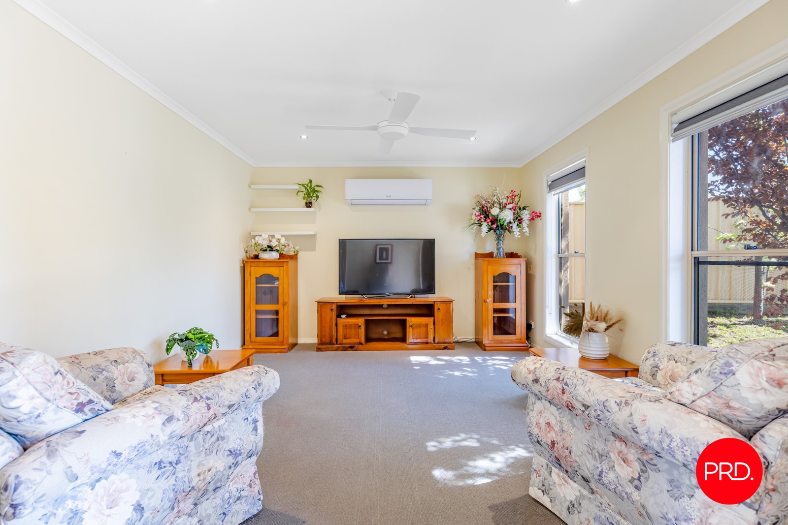 24a Nelson Street CALIFORNIA GULLY 4