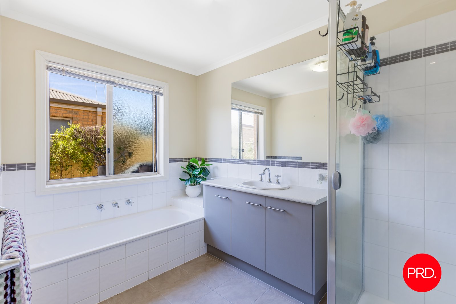24a Nelson Street CALIFORNIA GULLY 7