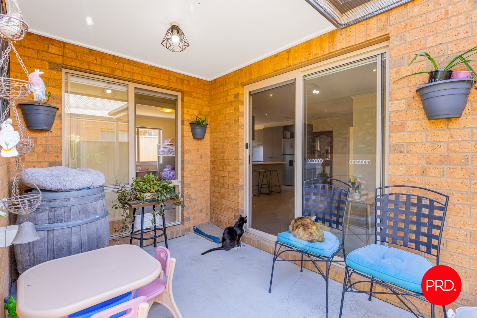 24a Nelson Street CALIFORNIA GULLY 10