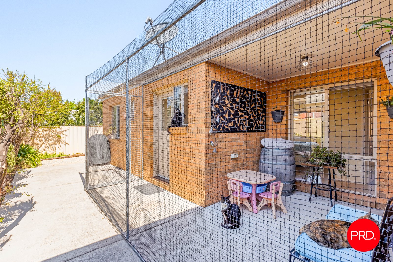 24a Nelson Street CALIFORNIA GULLY 11