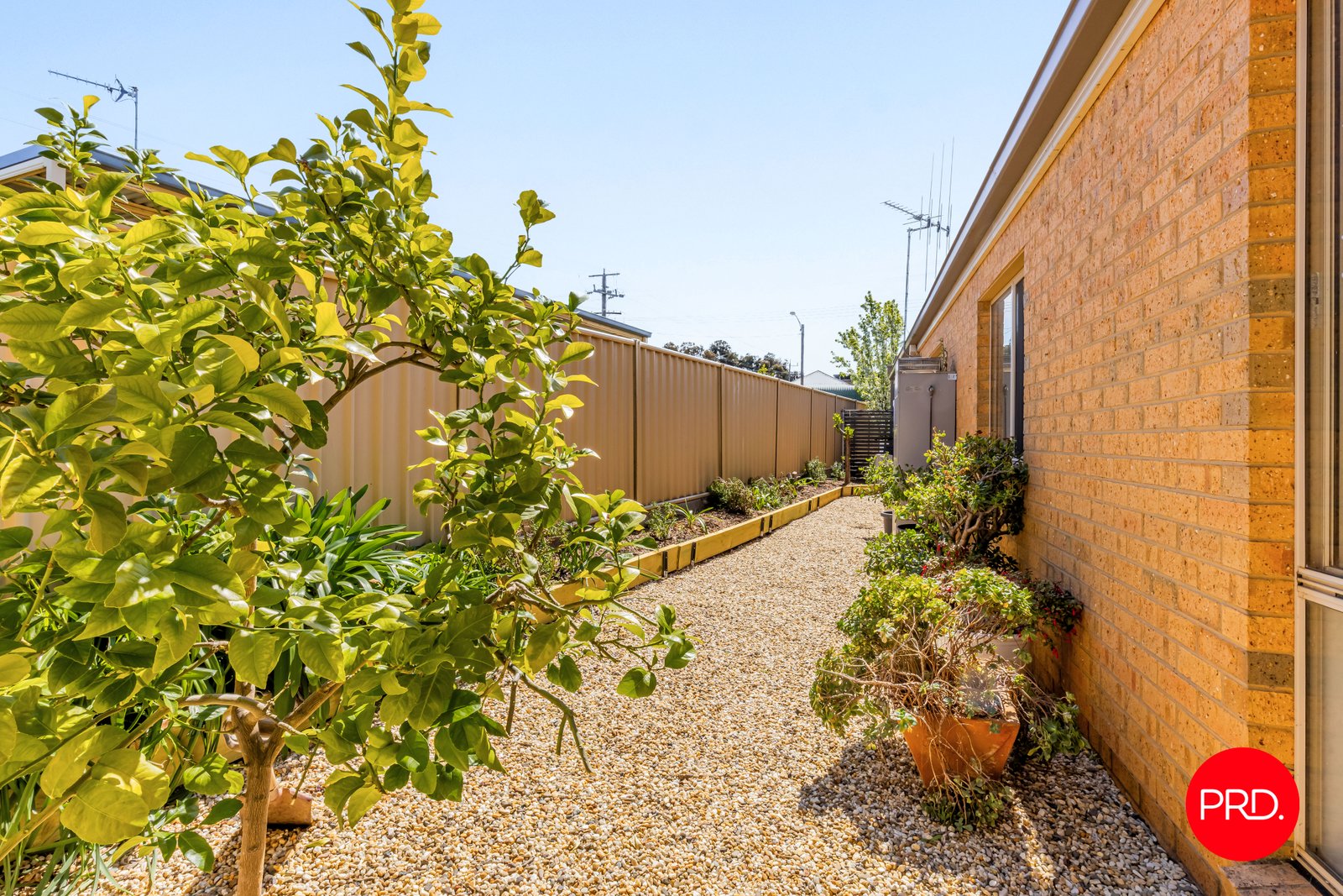 24a Nelson Street CALIFORNIA GULLY 13