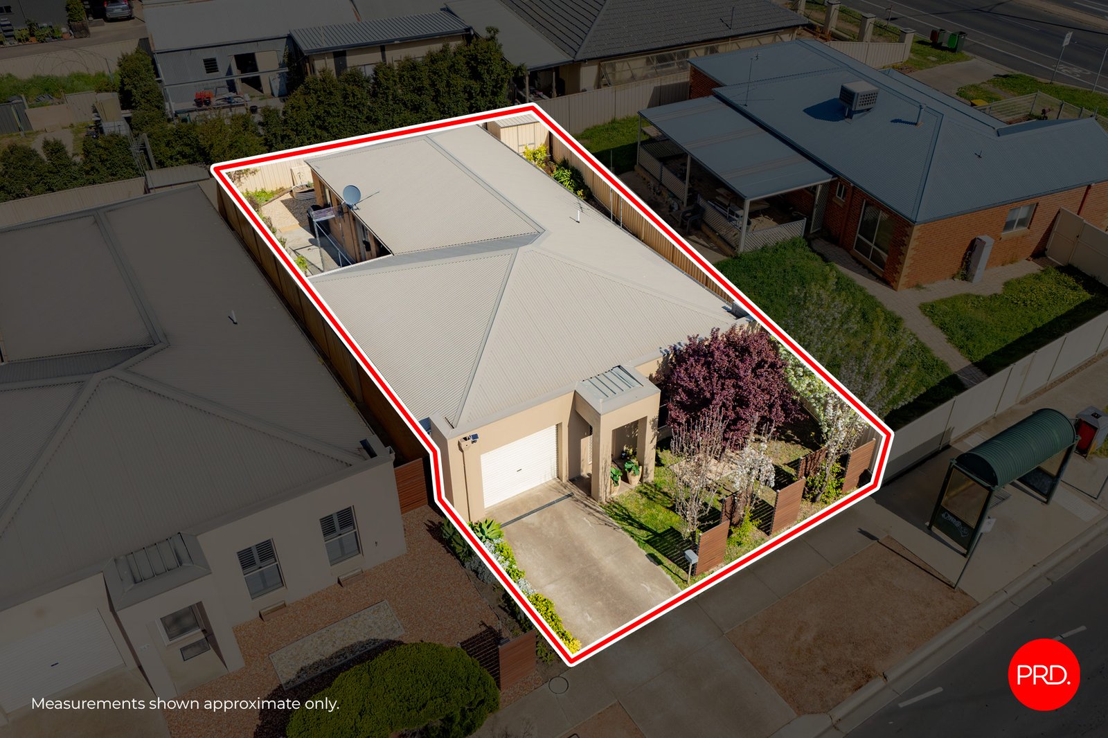 24a Nelson Street CALIFORNIA GULLY 16