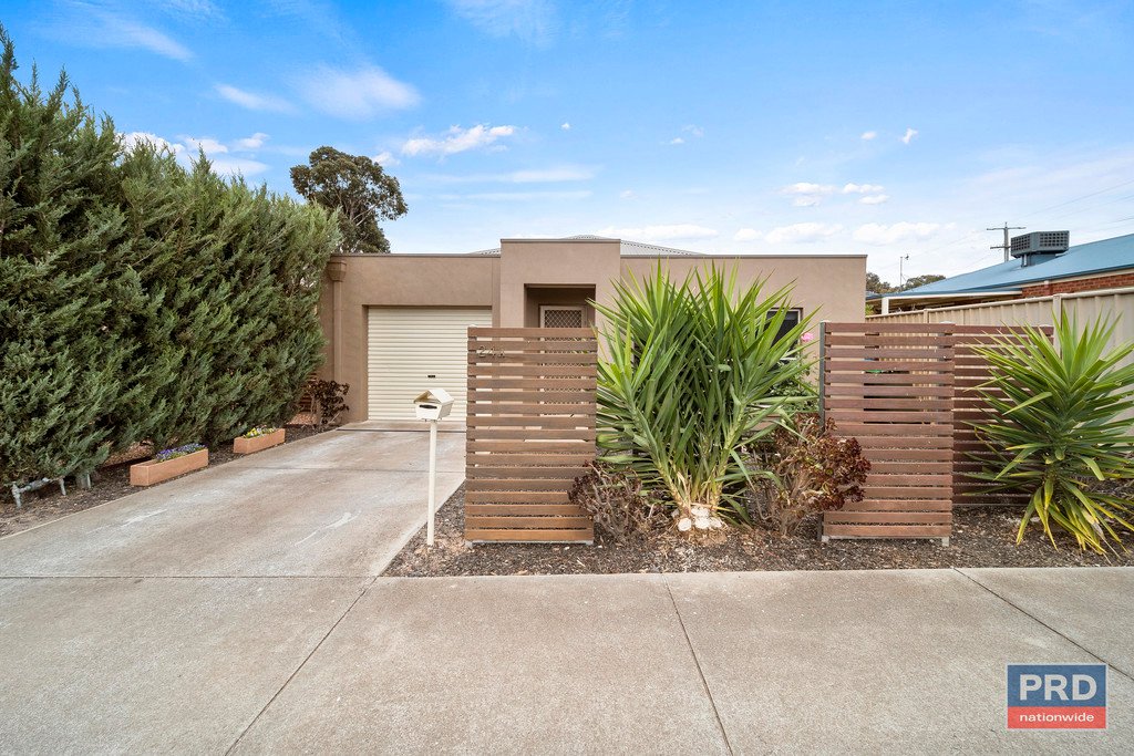 24a Nelson Street CALIFORNIA GULLY 10