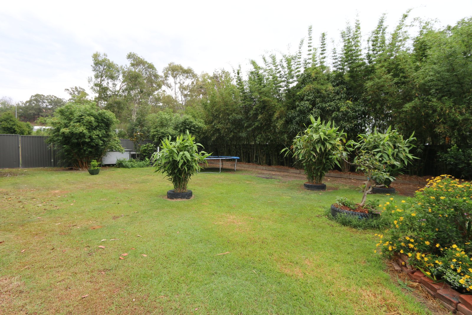 25 Alison Road CARRARA 20