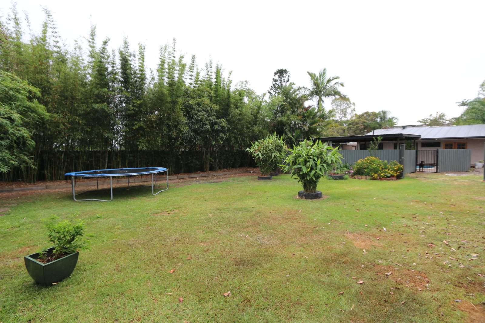 25 Alison Road CARRARA 21