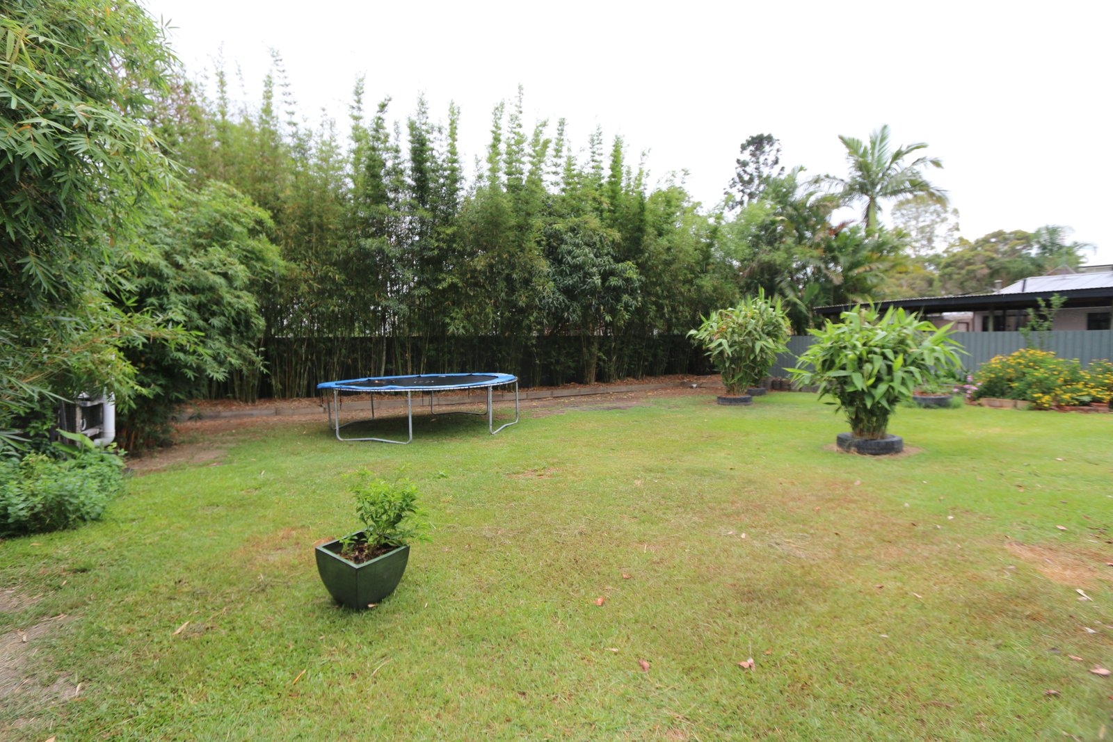 25 Alison Road CARRARA 22