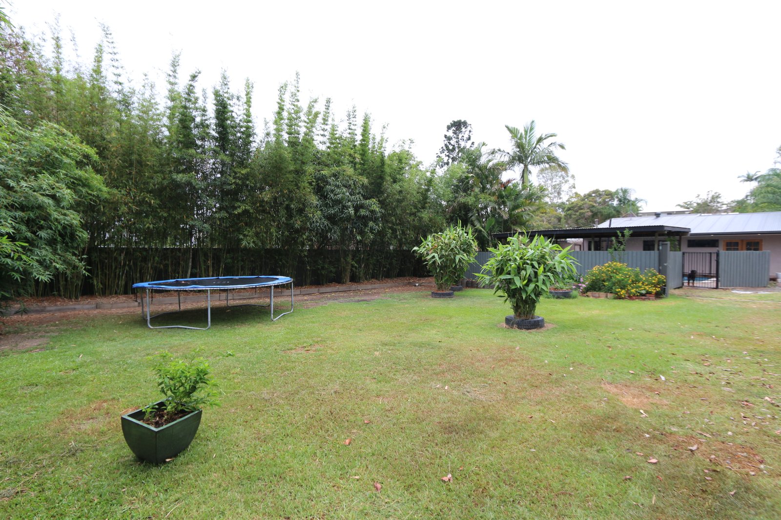 25 Alison Road CARRARA 23
