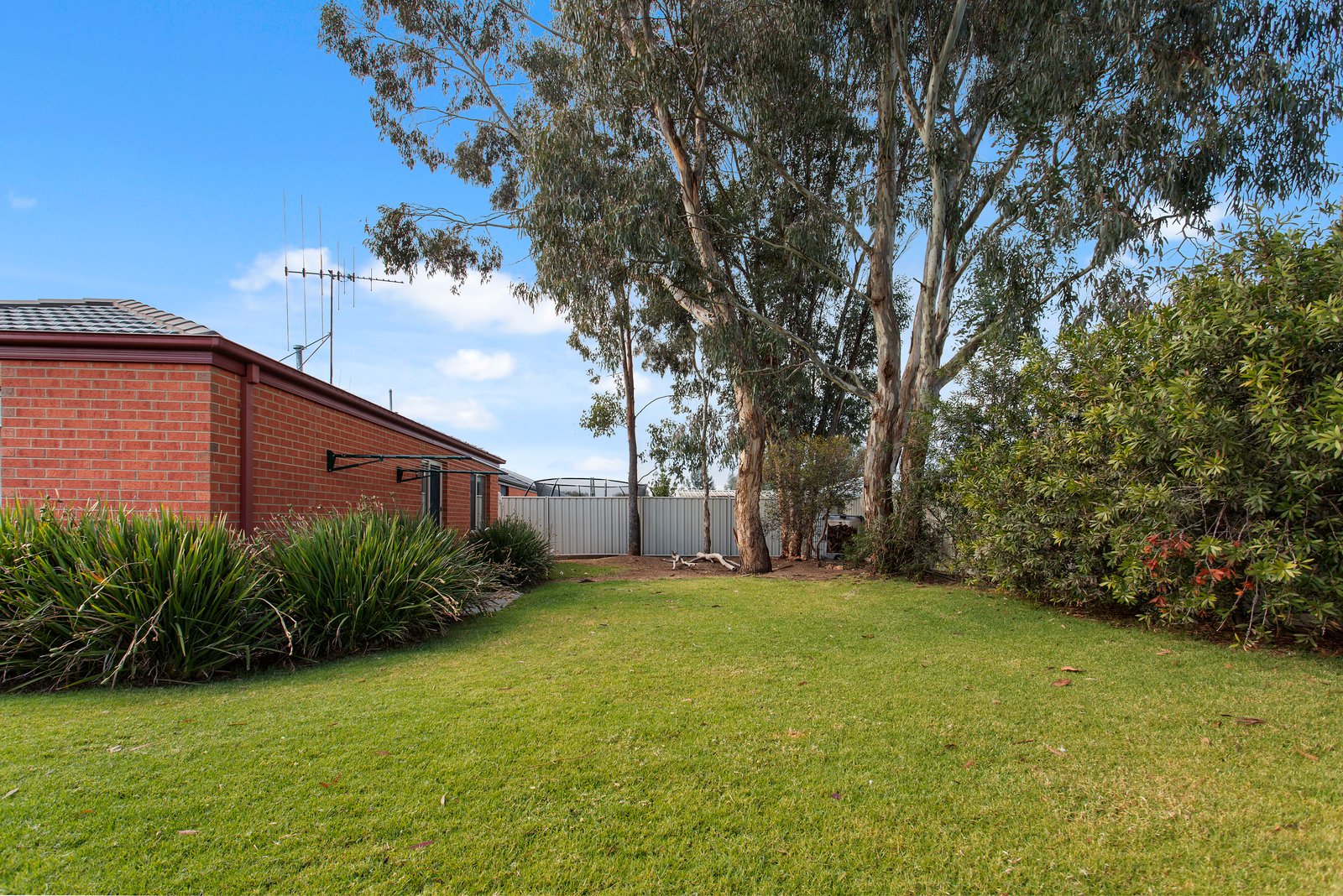 25 Ambrosia Rise EPSOM 17