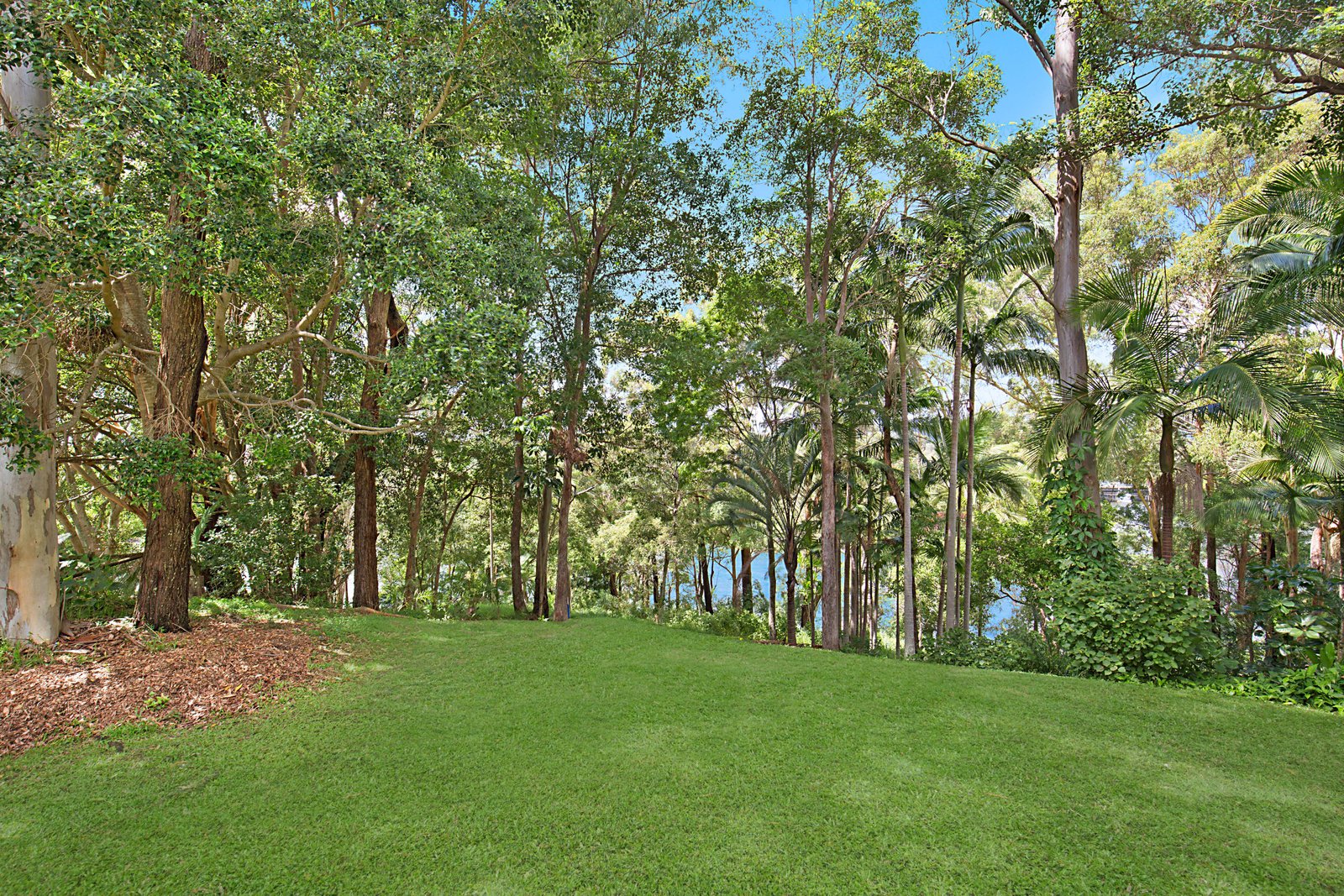 25 Anconia Avenue TWEED HEADS WEST 13