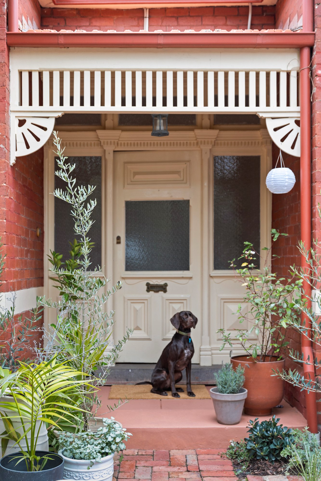 Real Estate and Property in 25 Avoca Avenue, Elwood, VIC