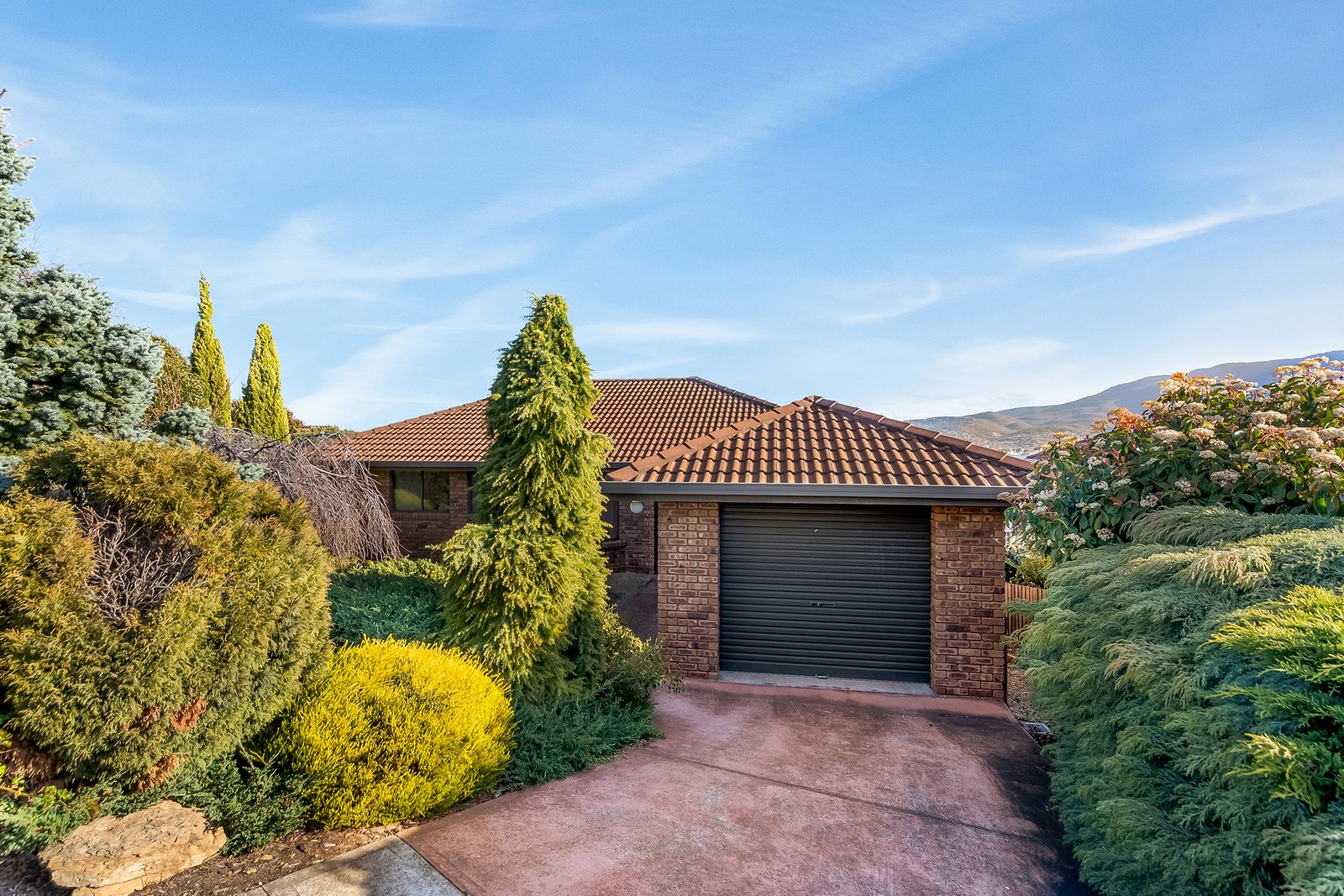 25 Balamara Street BELLERIVE 1