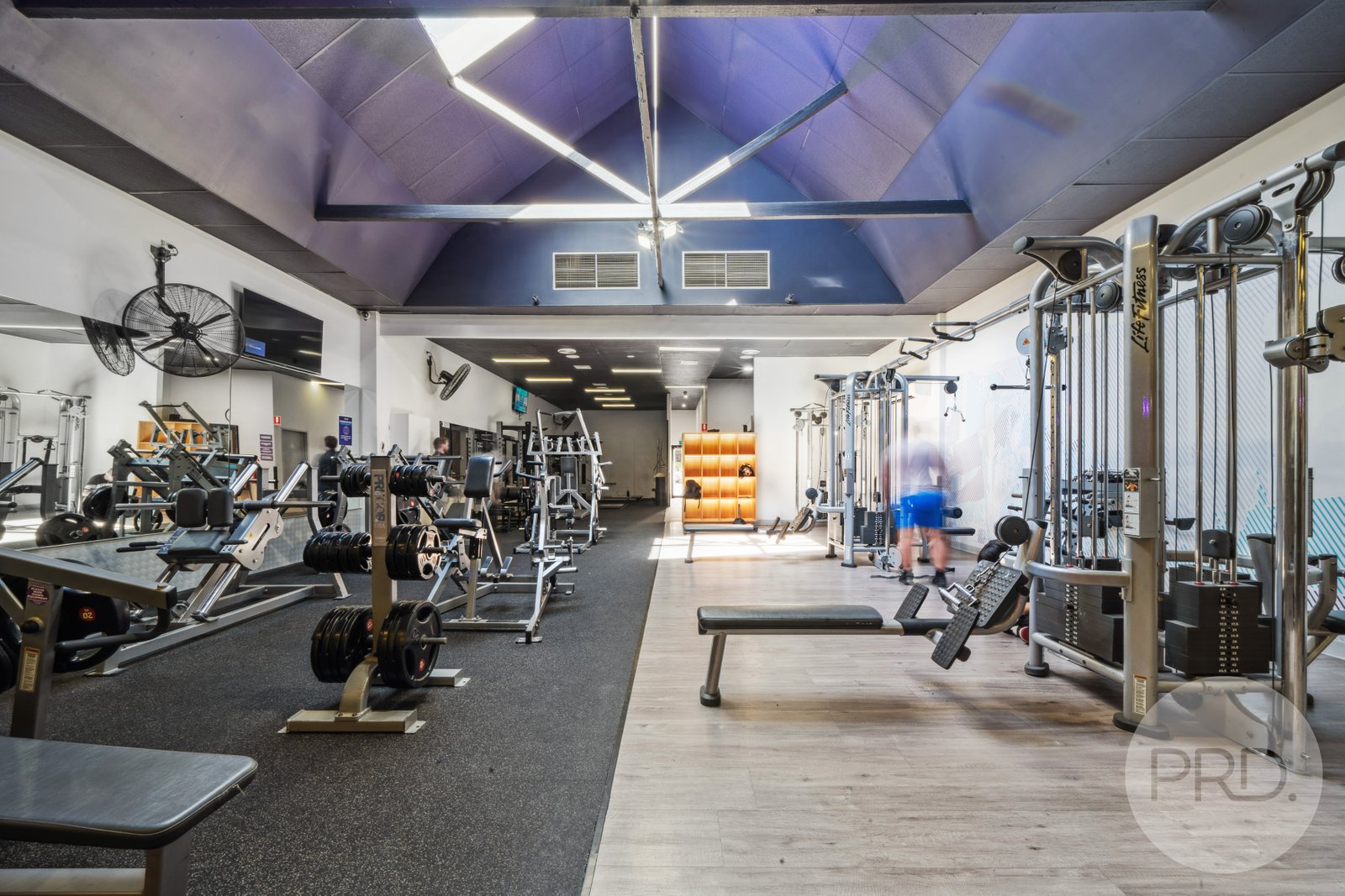 25 Baylis Street WAGGA WAGGA 7