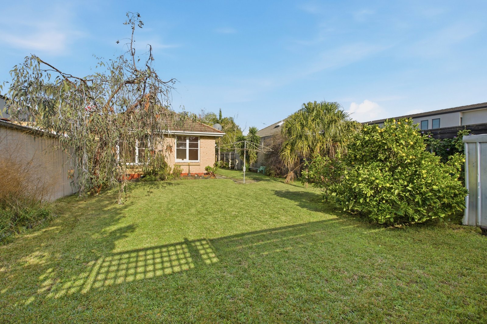 Gallery: 25 Besant Street