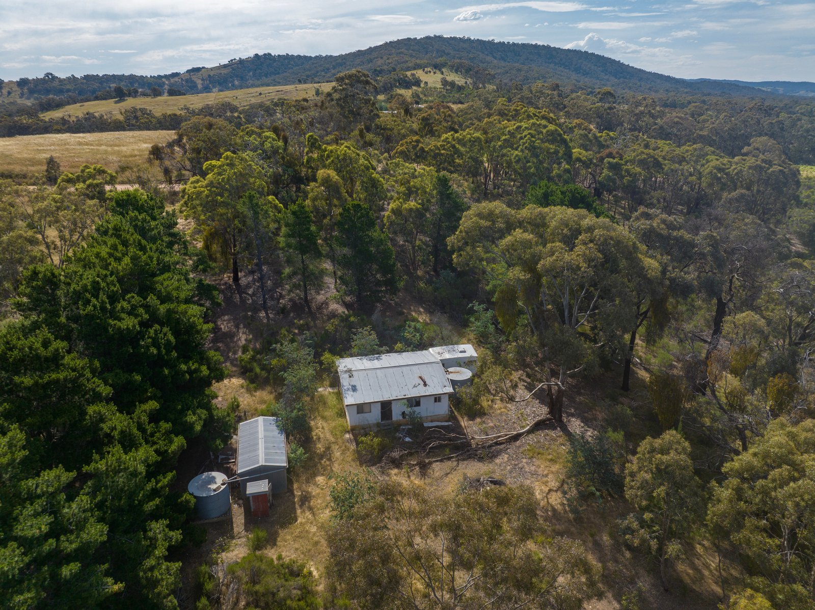 Gallery: 25 Bundaleer Road
