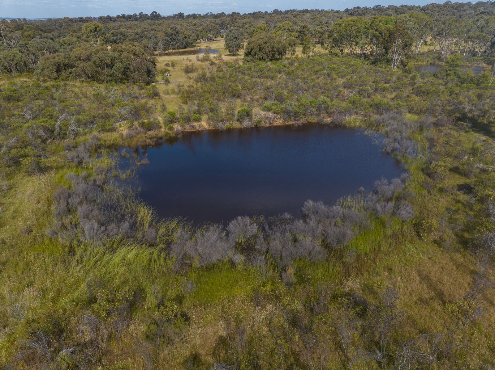 Gallery: 25 Bundaleer Road