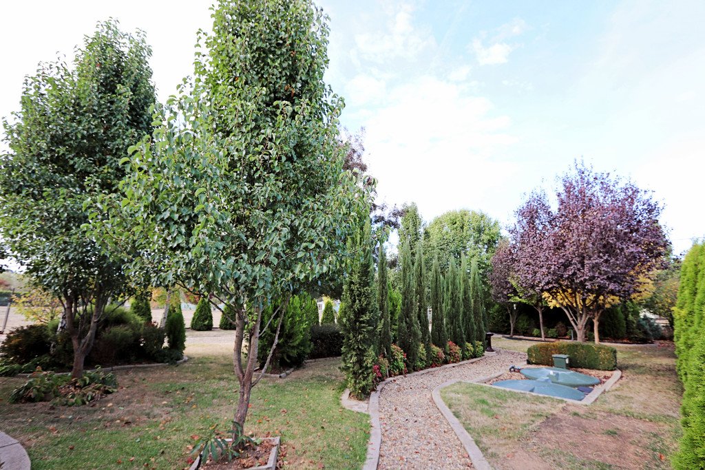 25 Carabost Street TUMBARUMBA 12