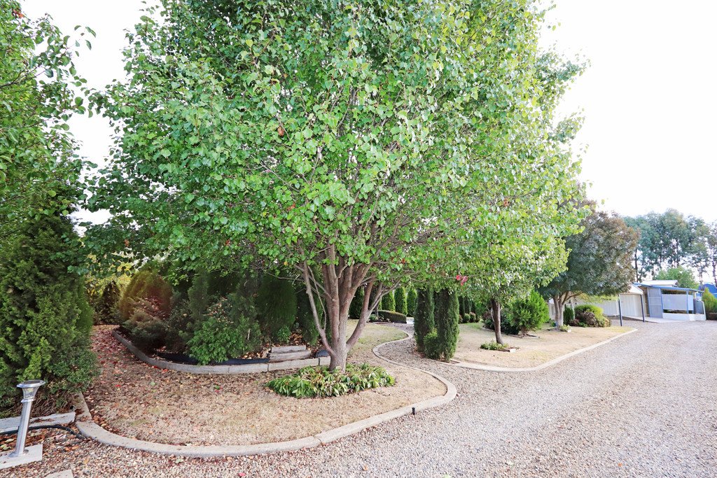 25 Carabost Street TUMBARUMBA 13