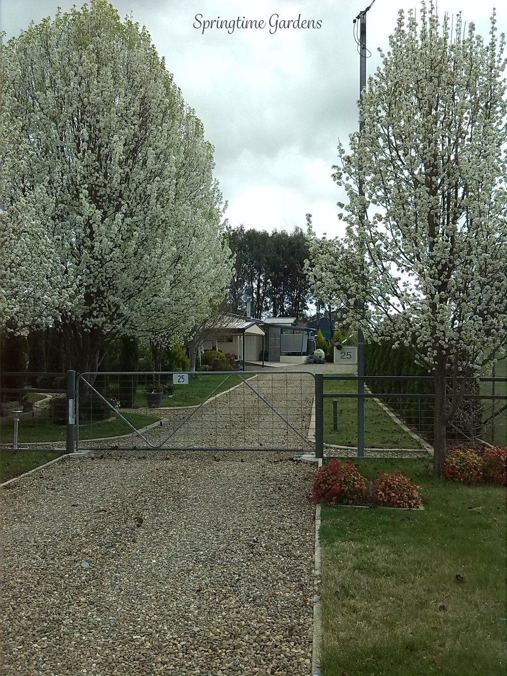 25 Carabost Street TUMBARUMBA 16