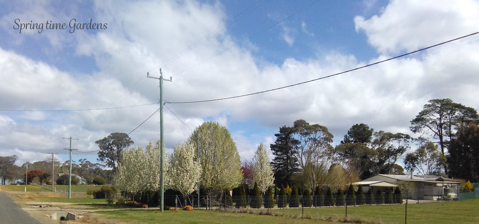 25 Carabost Street TUMBARUMBA 18