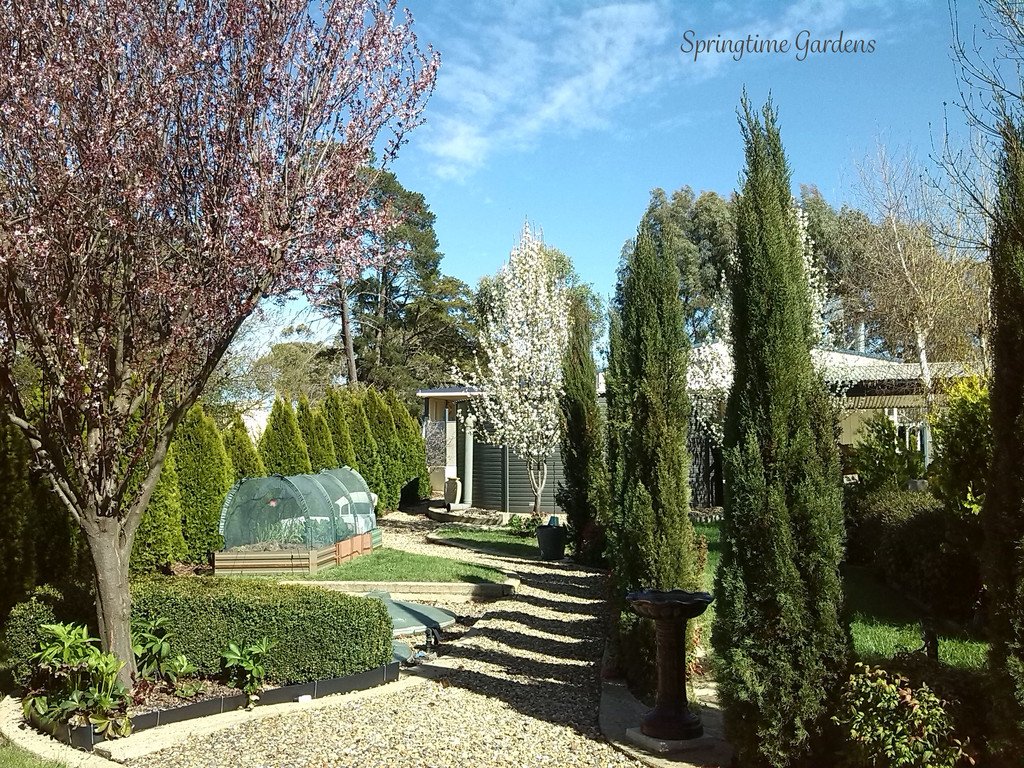 25 Carabost Street TUMBARUMBA 19