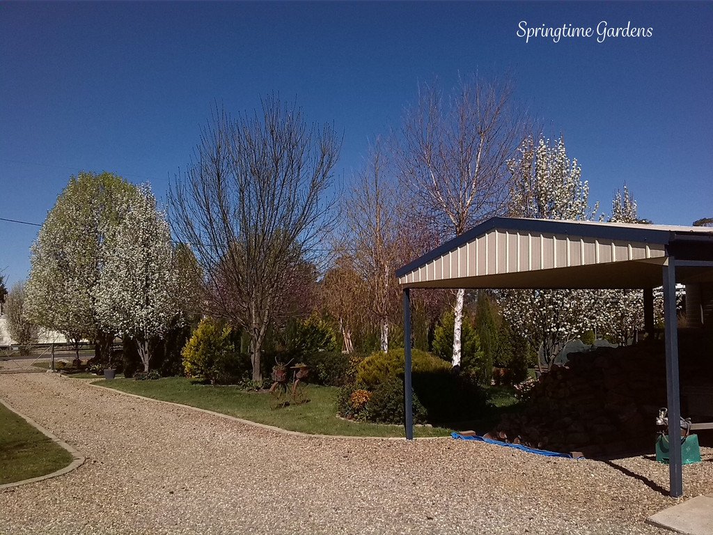 25 Carabost Street TUMBARUMBA 21