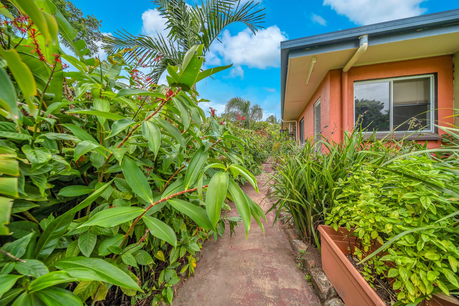 25 Carnation Street PROSERPINE 23