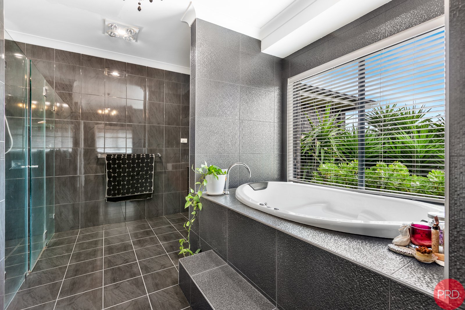 25 Carnival Close WINDELLA 18