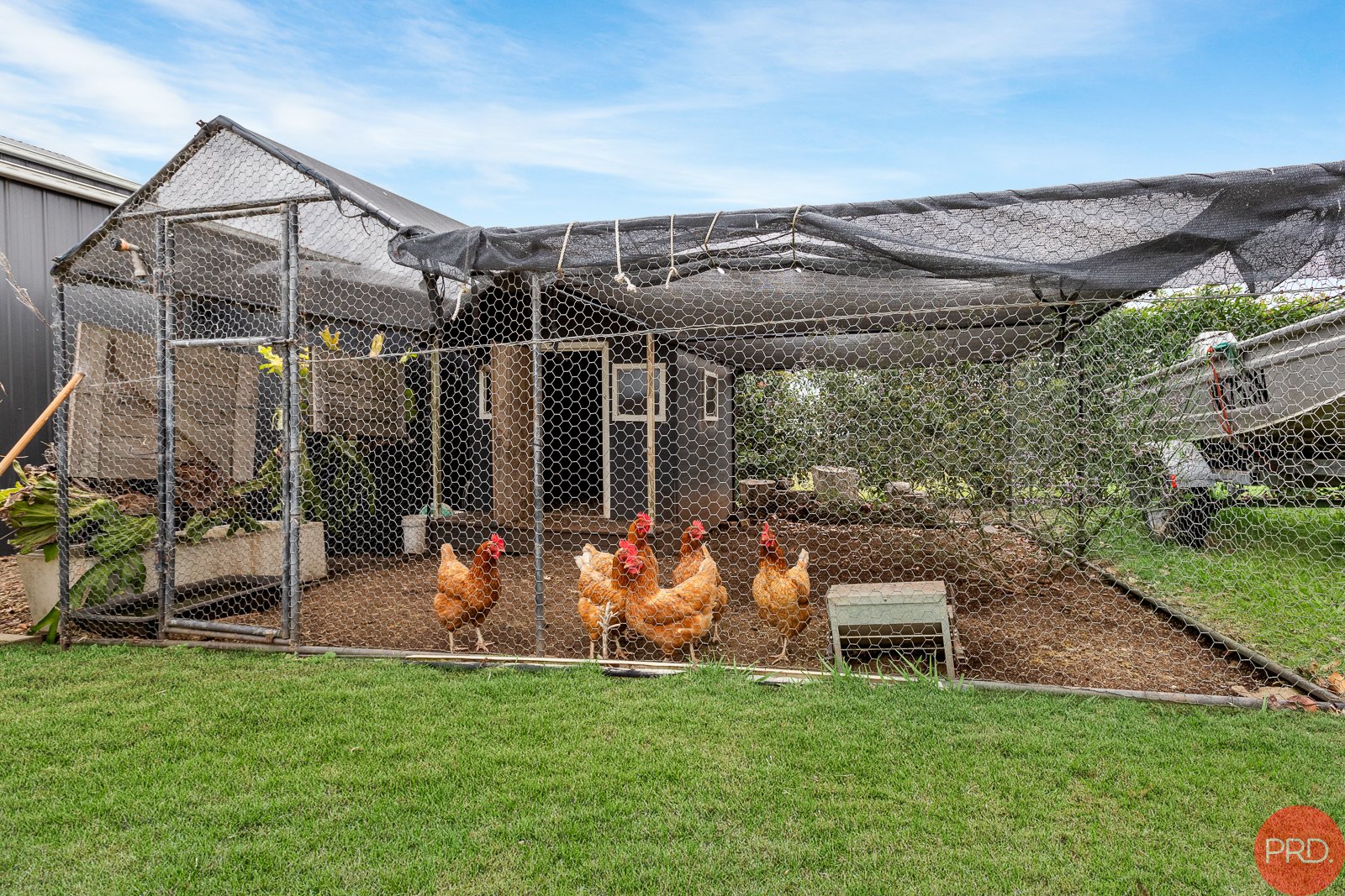 25 Carnival Close WINDELLA 23