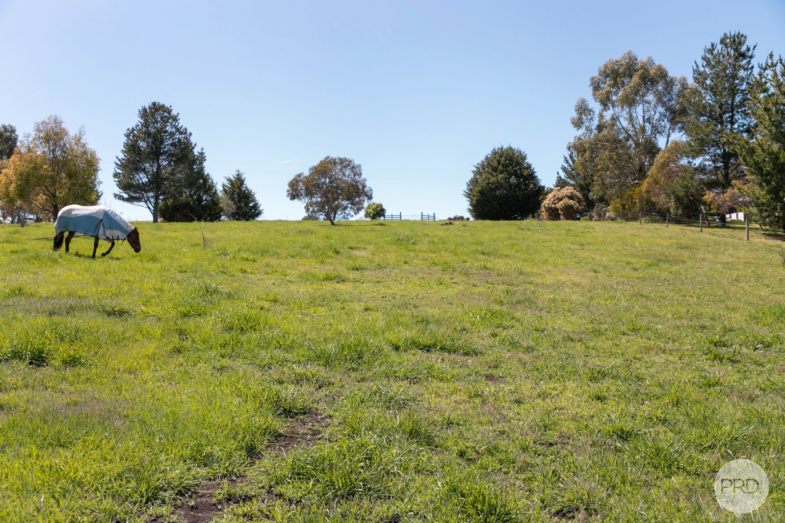 25 Consols Court CLUNES 11