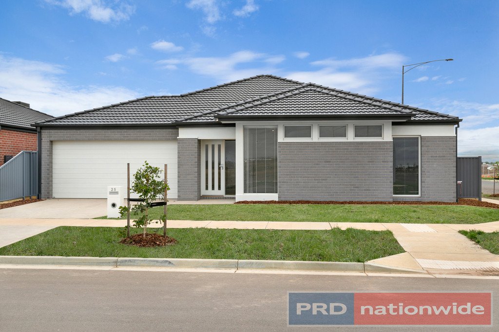 25 Dublin Street ALFREDTON 1