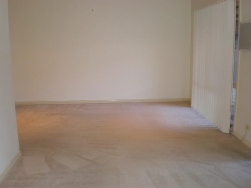 Gallery: 2/5 Edsall Street
