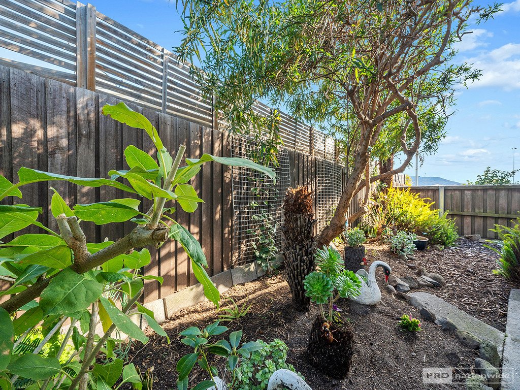 25 Goodwood Road GOODWOOD 15