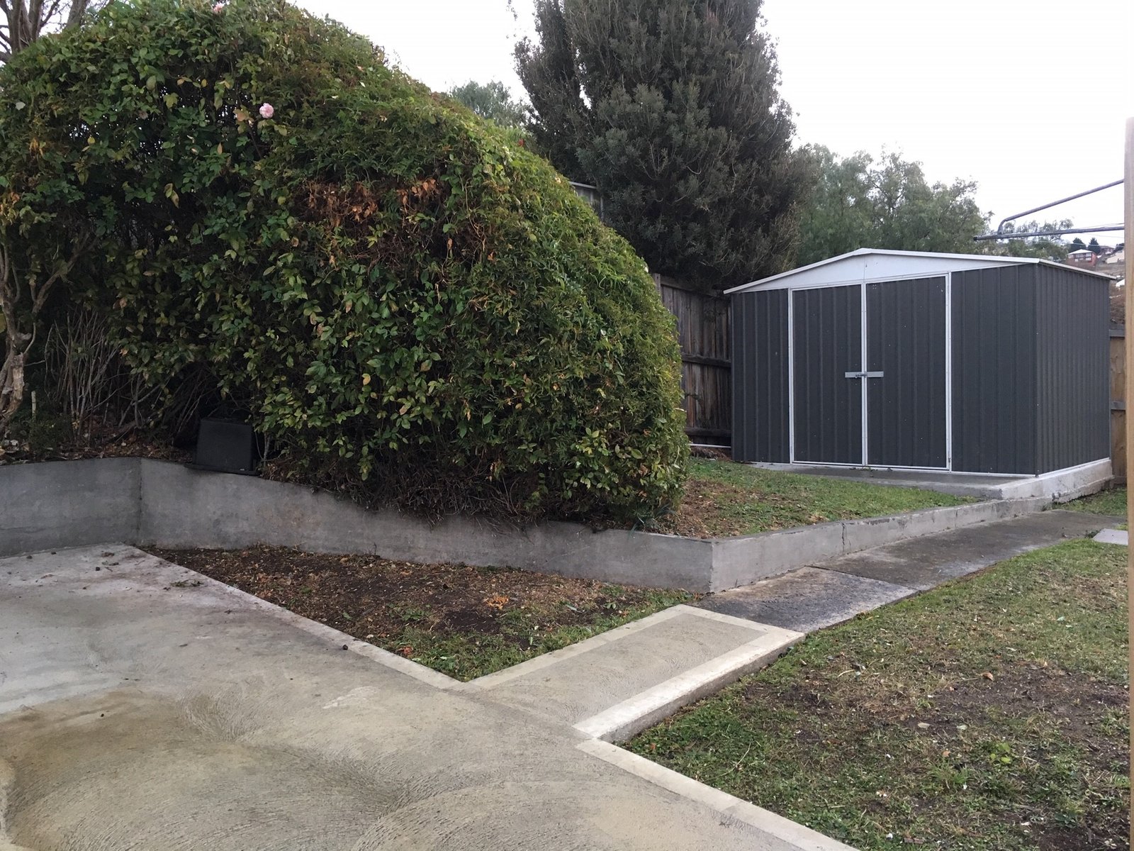 25 Haig Street LENAH VALLEY 11