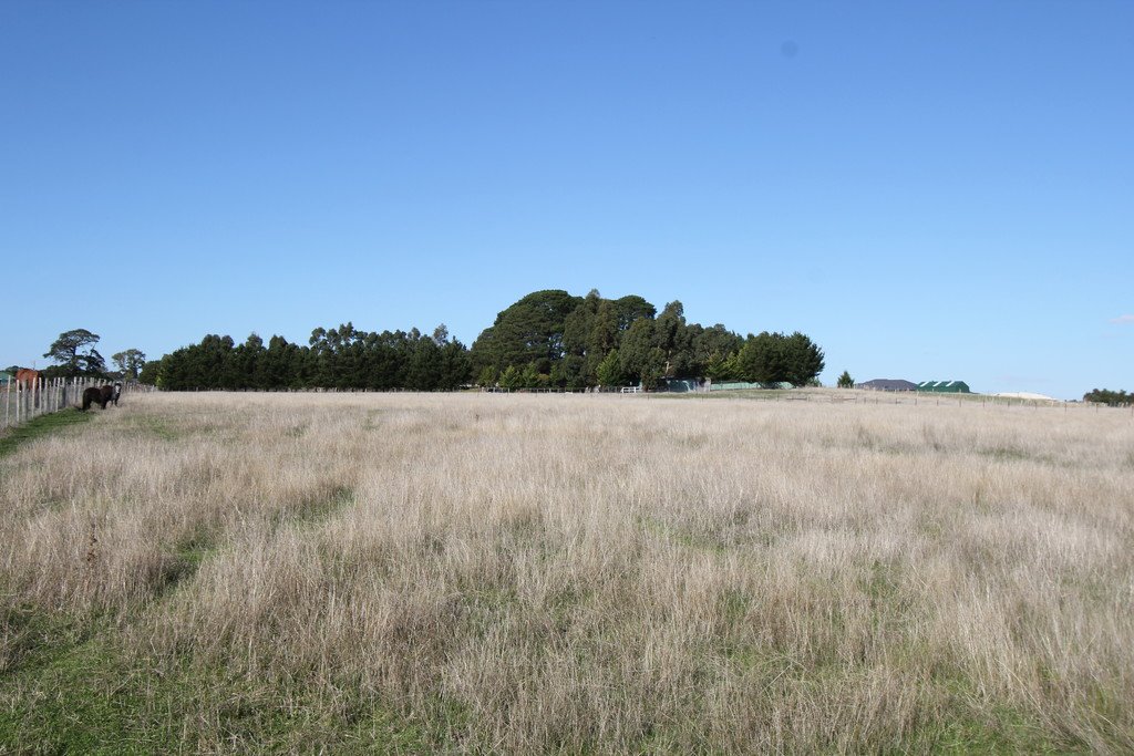 25 Hogan Road BALLAN 4