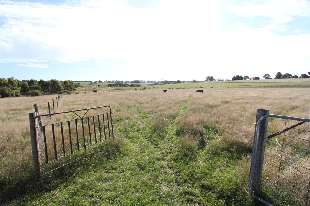 25 Hogan Road BALLAN 5