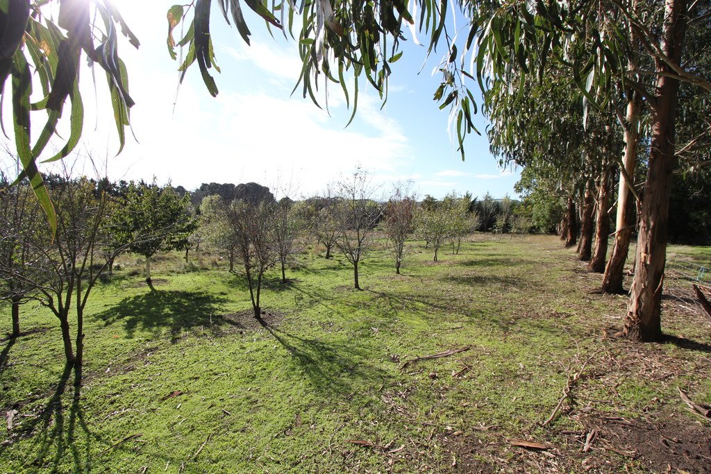 25 Hogan Road BALLAN 6