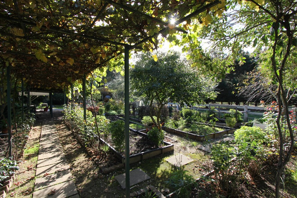 25 Hogan Road BALLAN 11