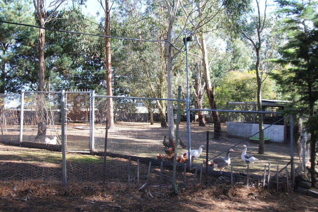 25 Hogan Road BALLAN 12