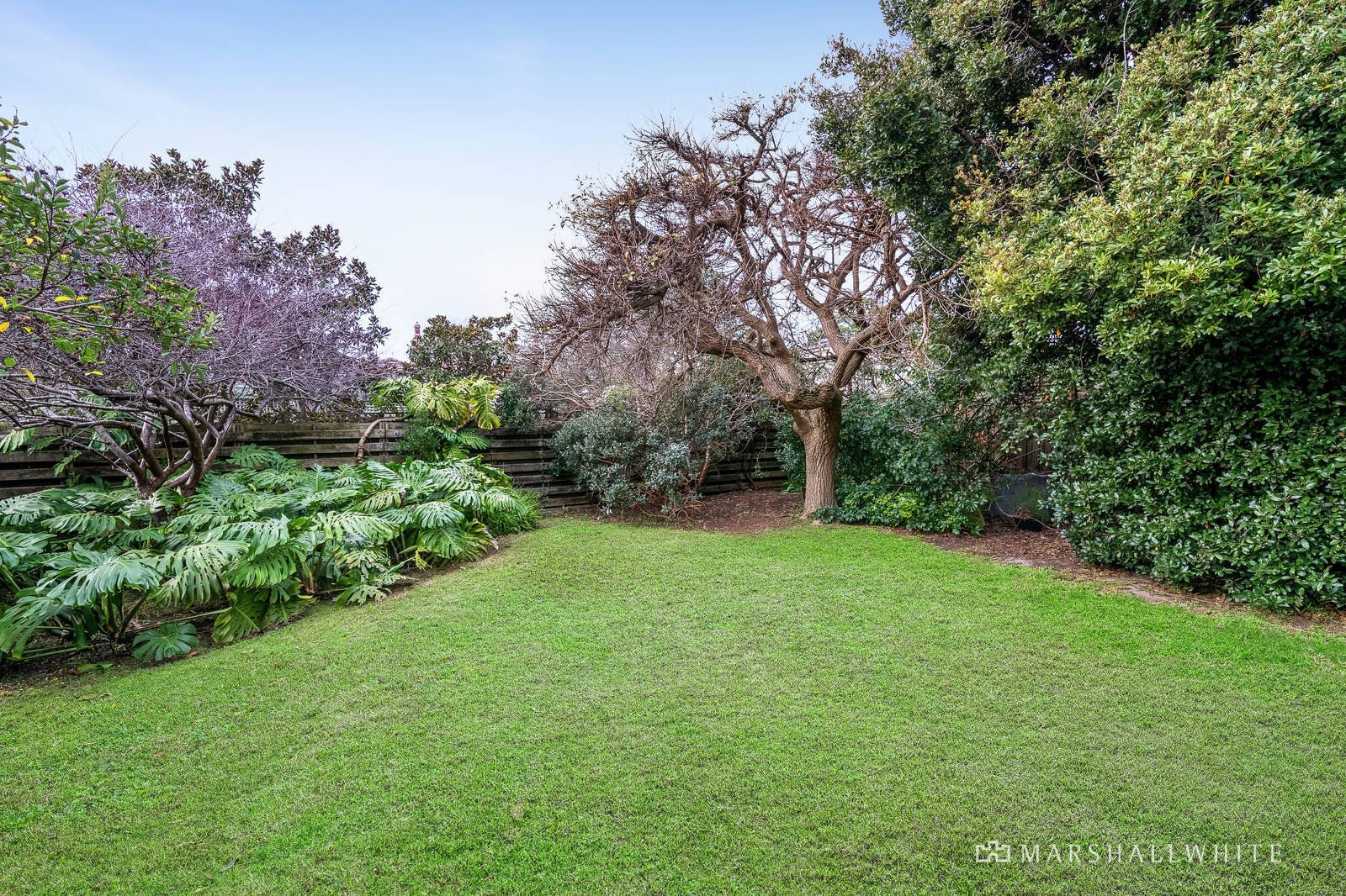 25 Kennealy Street, Surrey Hills, VIC
