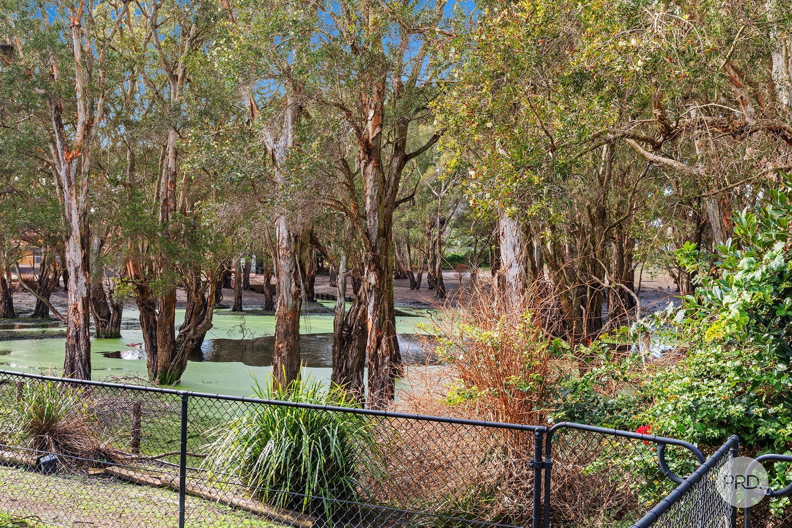 25 Lagoons Circuit NELSON BAY 23