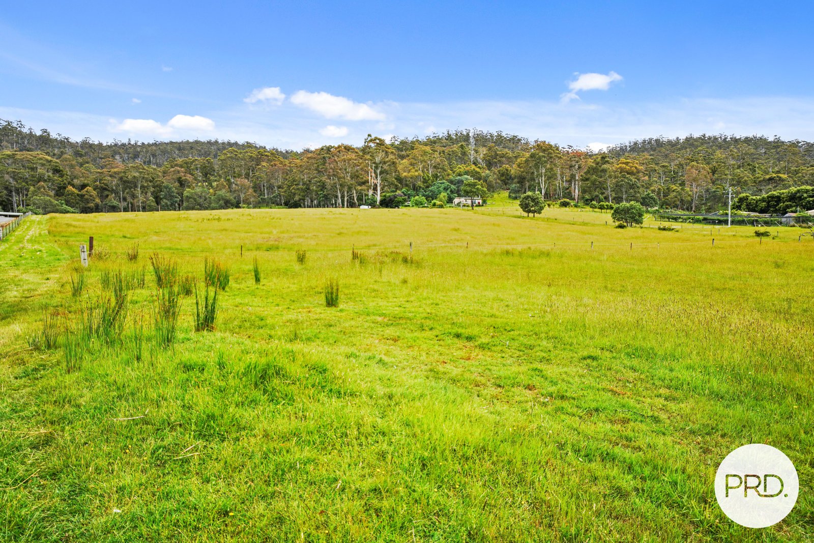 25 Mapley Road LACHLAN 4