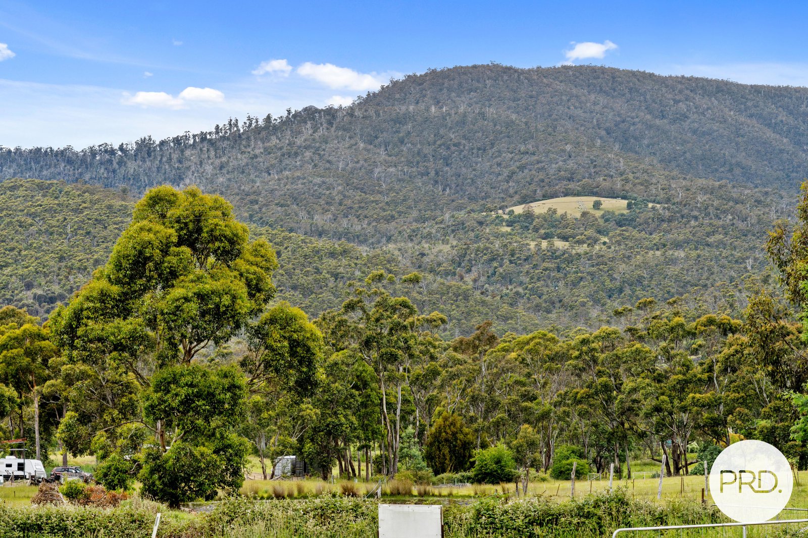 25 Mapley Road LACHLAN 11