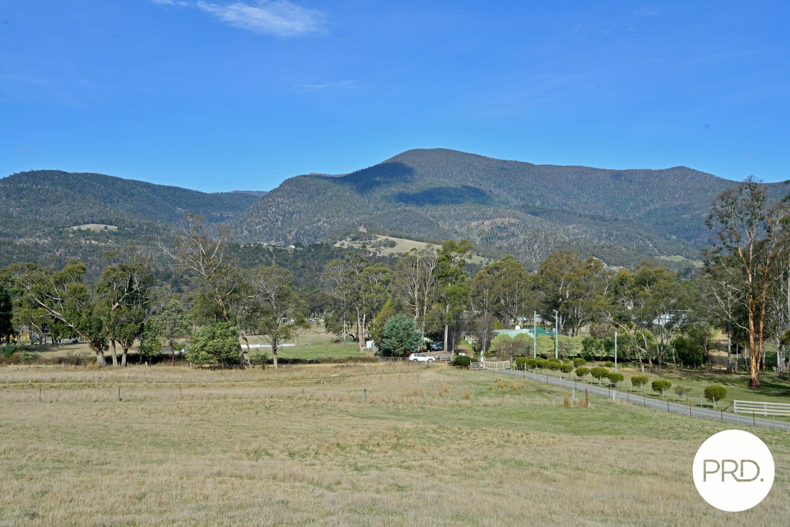 25 Mapley Road LACHLAN 12