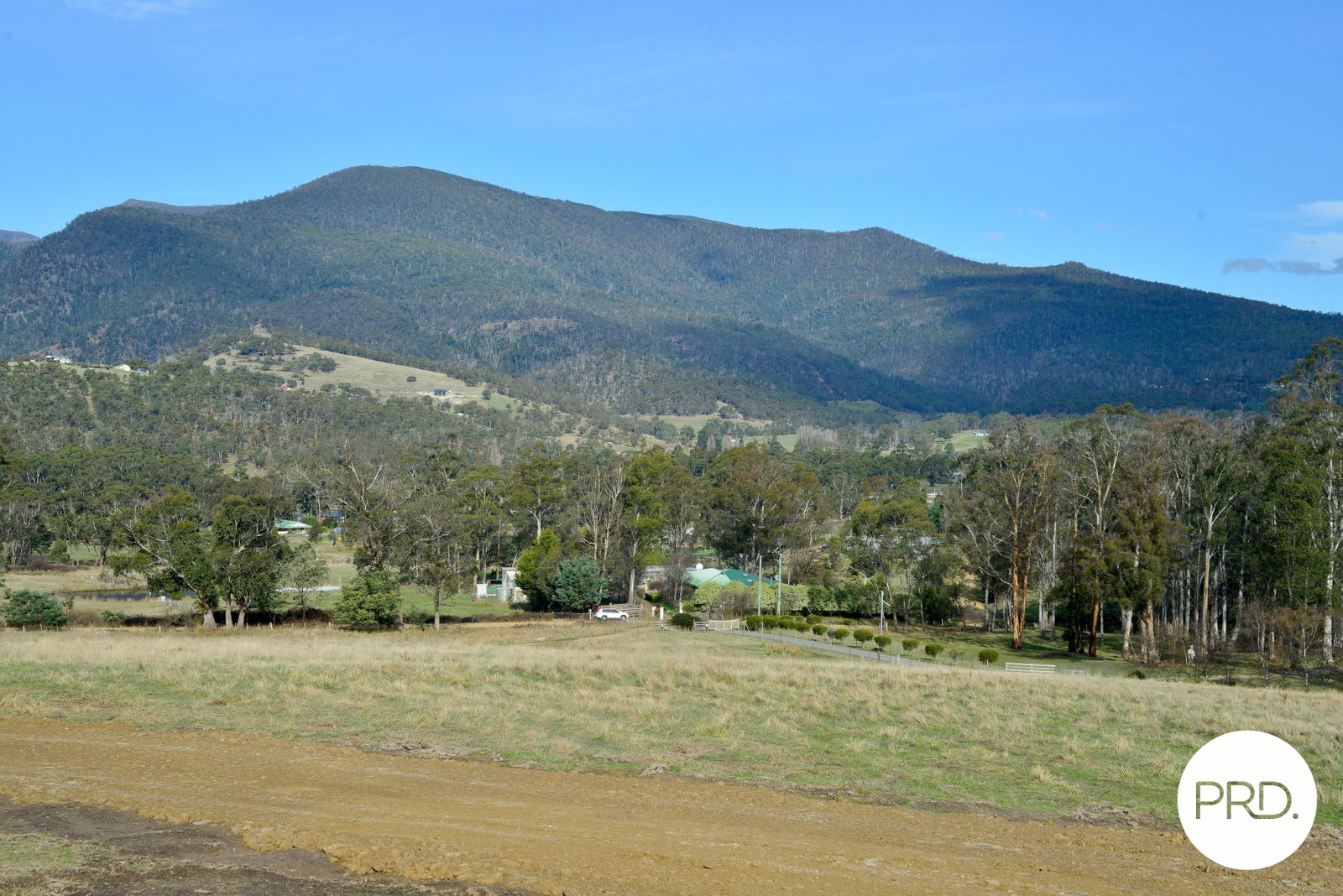 25 Mapley Road LACHLAN 14