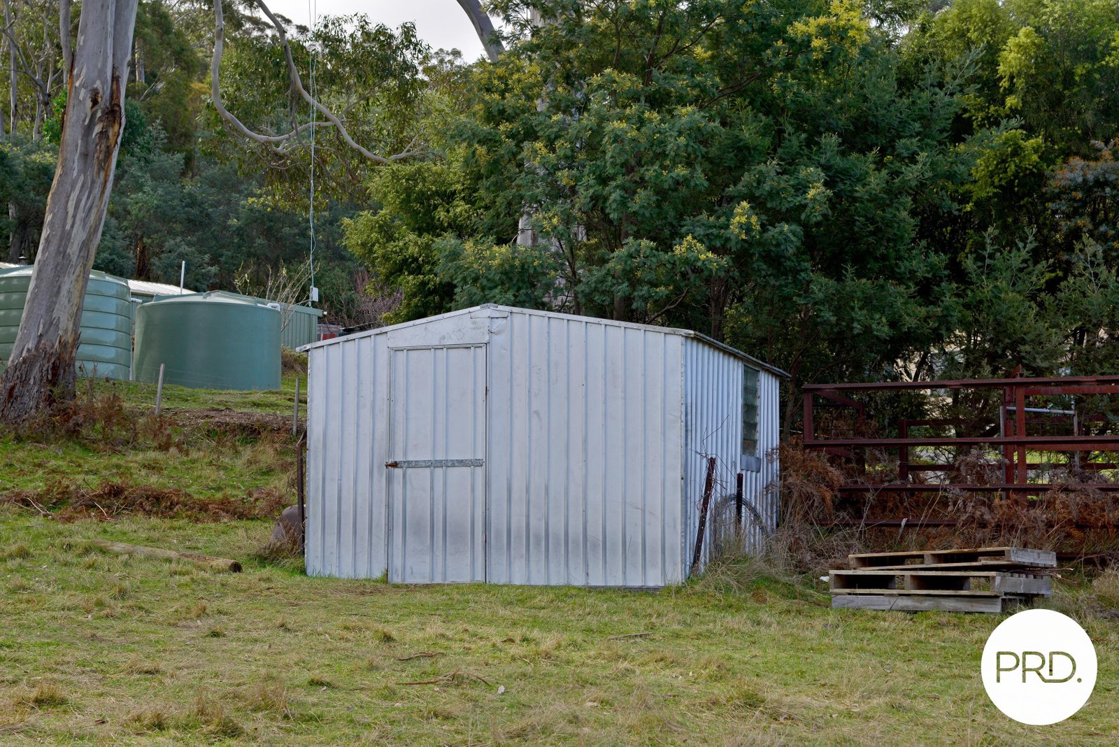25 Mapley Road LACHLAN 20