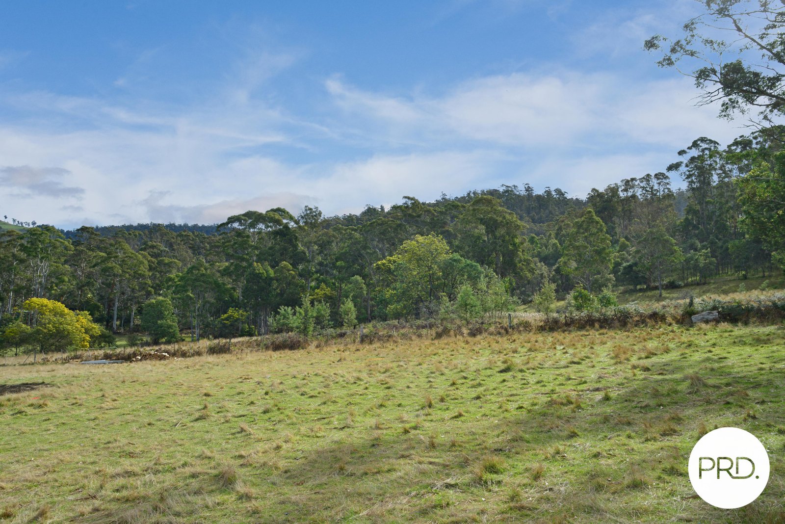 25 Mapley Road LACHLAN 22